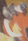ציפורים17 - 
